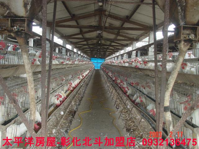 彰化二林農舍-8