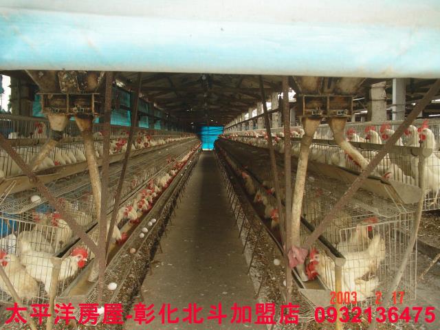 彰化二林農舍-7