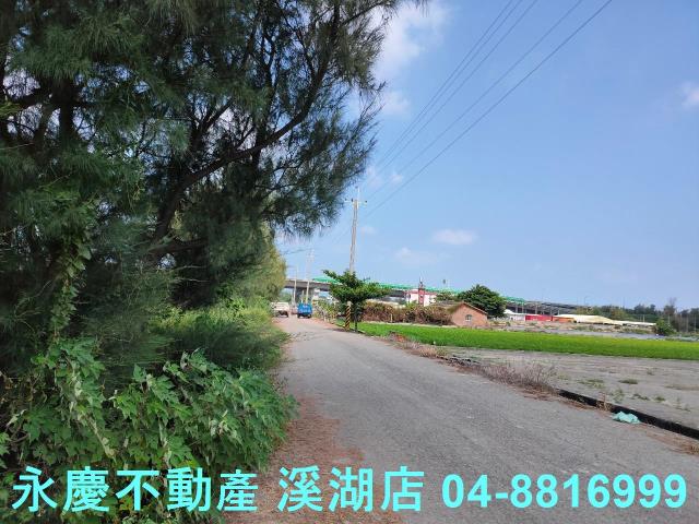 大城農地-6