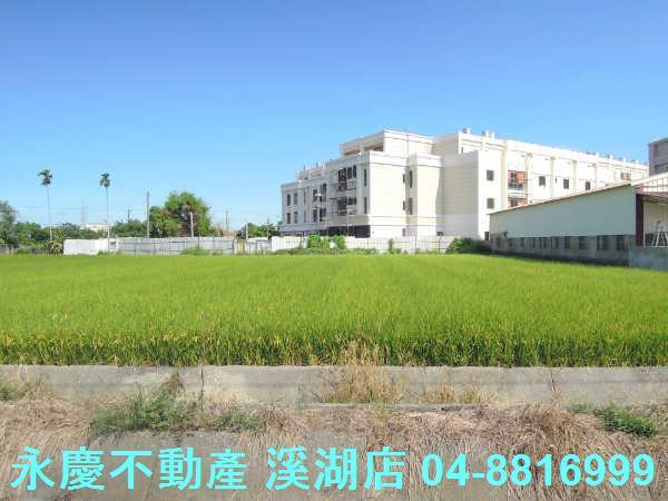 溪湖農地-10