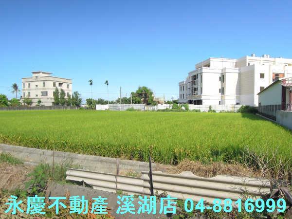溪湖農地-5