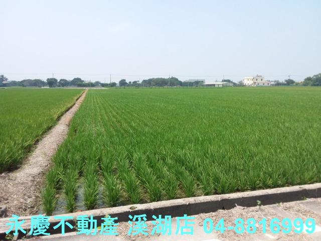 彰化農地-0