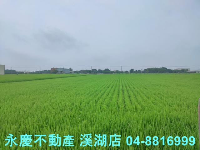 彰化農地-4