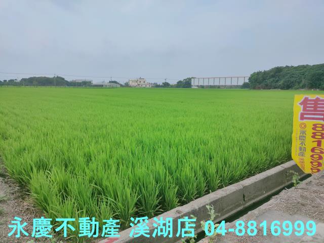 彰化農地-5