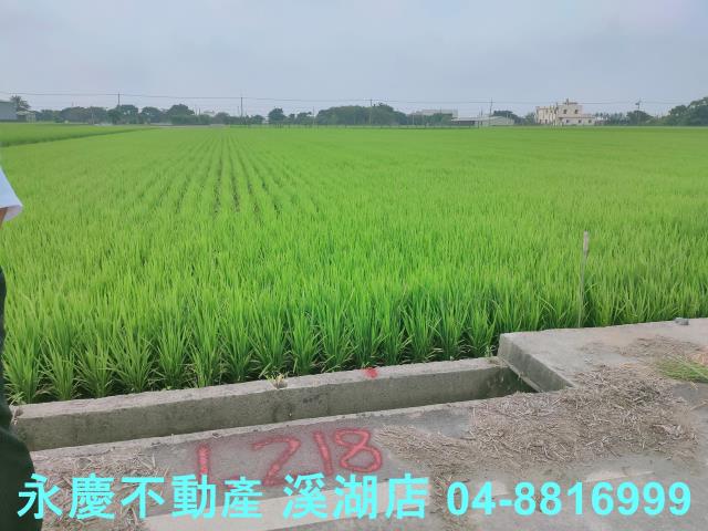 彰化農地-6