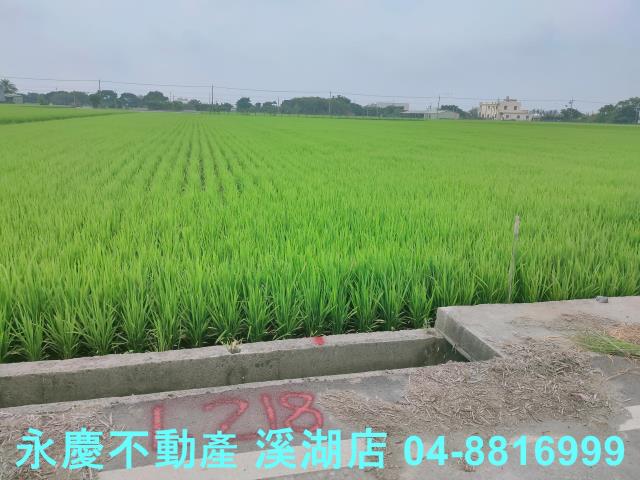 彰化農地-7