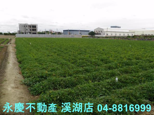 彰化農地-0