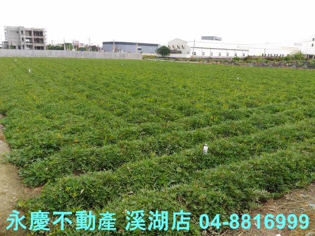 彰化農地-1