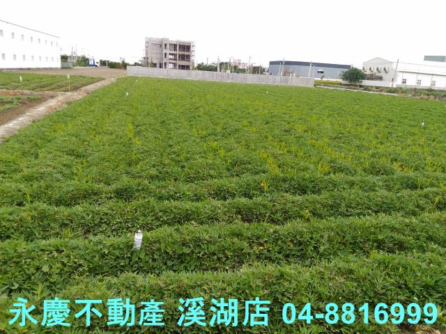 彰化農地-2