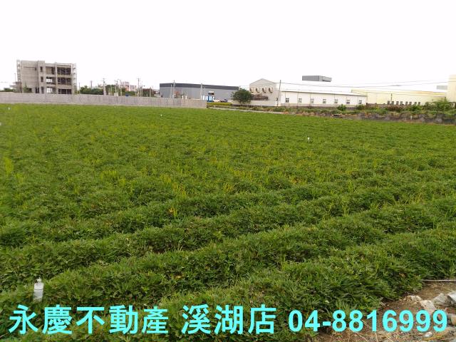 彰化農地-3