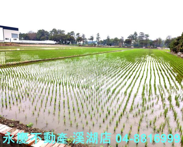 彰化埔鹽農地-1