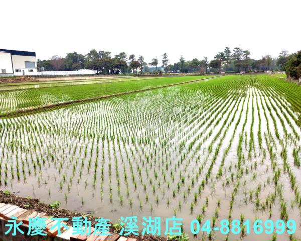 彰化埔鹽農地-2