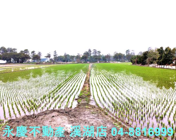 彰化埔鹽農地-4