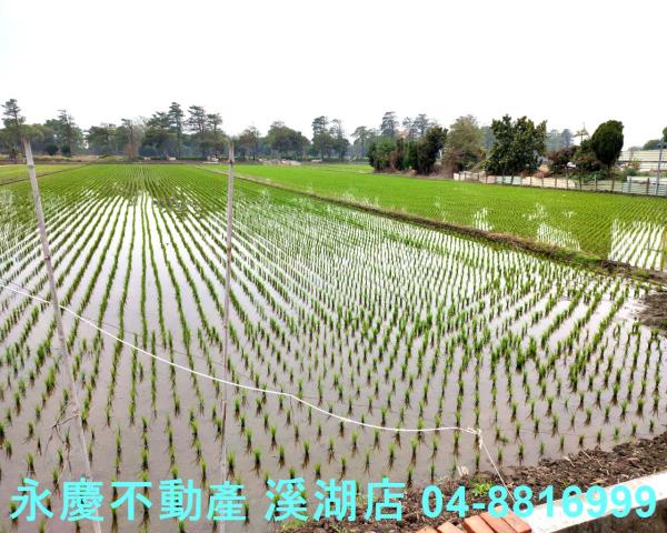 彰化埔鹽農地-5