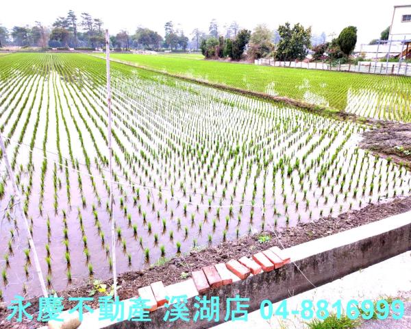 彰化埔鹽農地-6