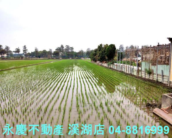 彰化埔鹽農地-7