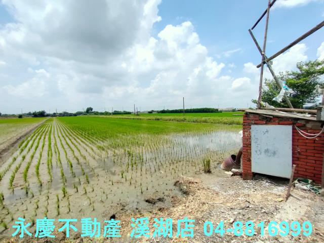 彰化埤頭農地-10