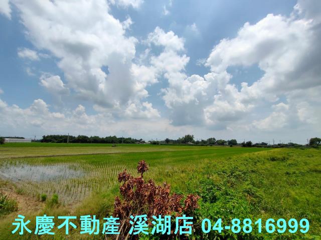 彰化埤頭農地-12