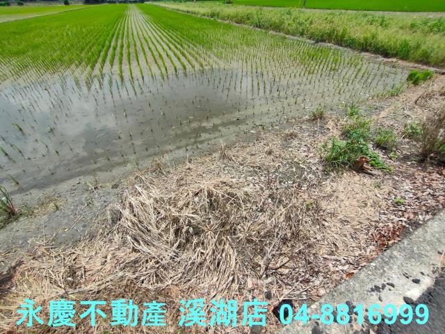 彰化埤頭農地-2