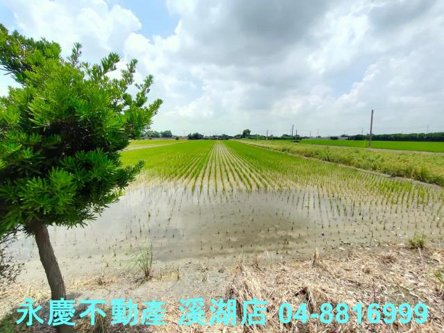 彰化埤頭農地-3