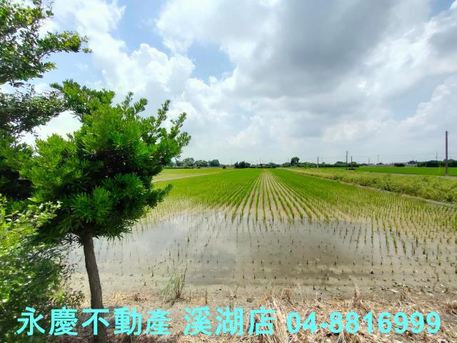 彰化埤頭農地-5