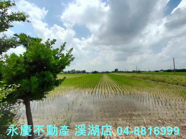 彰化埤頭農地-6