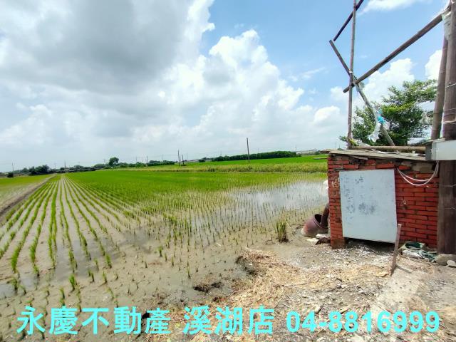 彰化埤頭農地-7