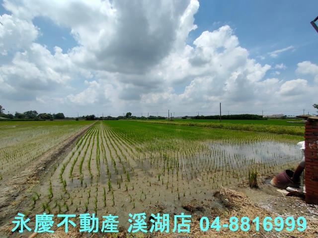 彰化埤頭農地-9