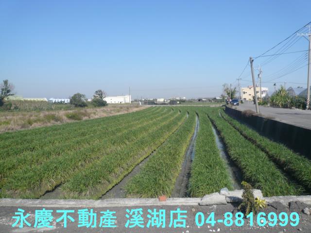 彰化溪湖農地-7