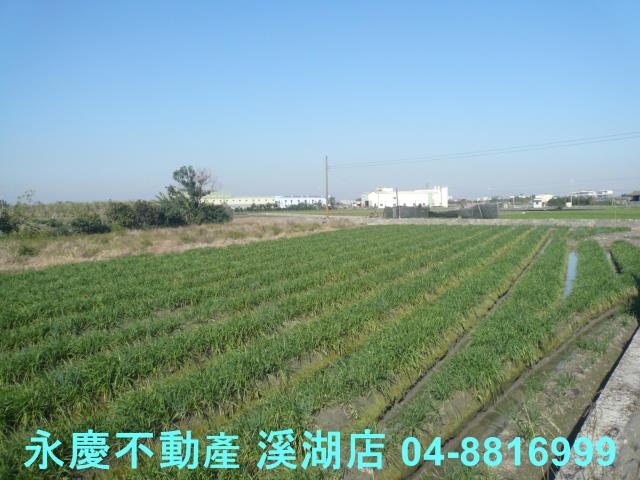 彰化溪湖農地-10