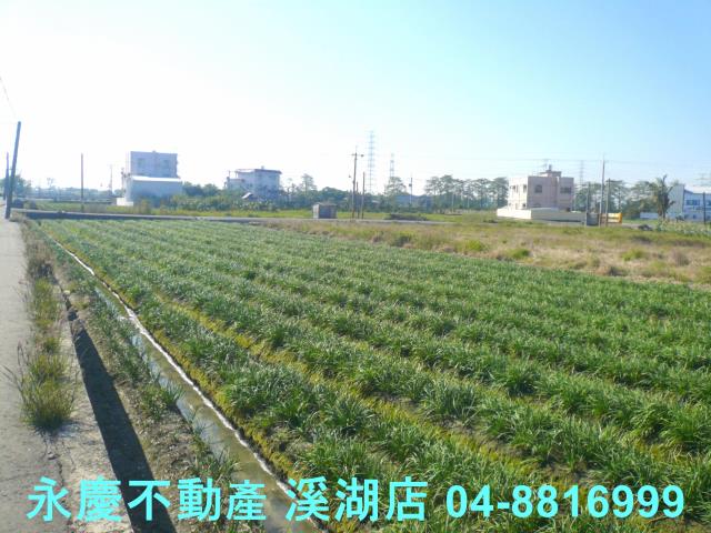 彰化溪湖農地-11