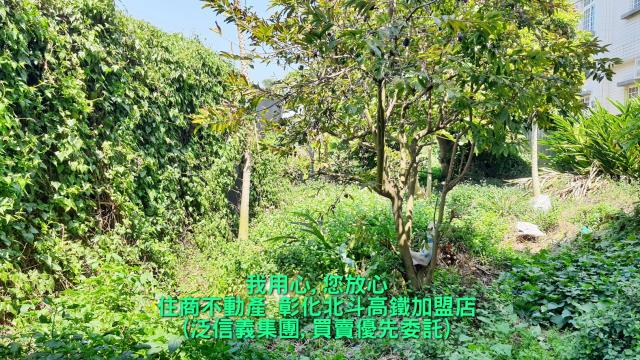 彰化建地-0