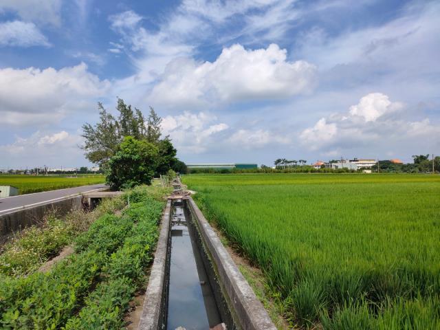 彰化埔鹽農地-3