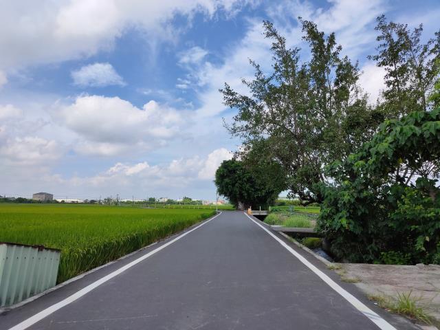 彰化埔鹽農地-6