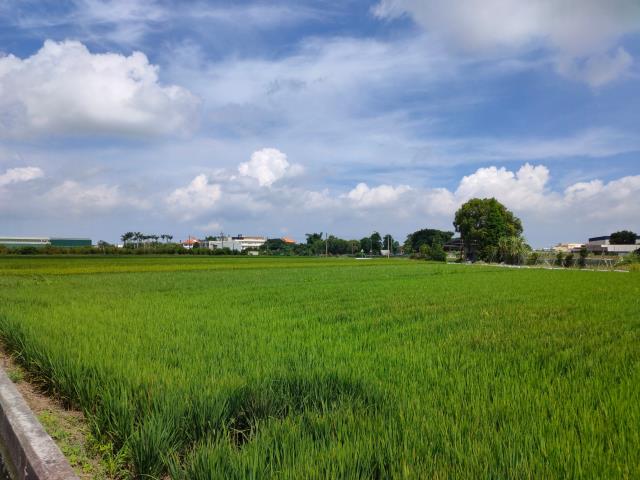 彰化埔鹽農地-8