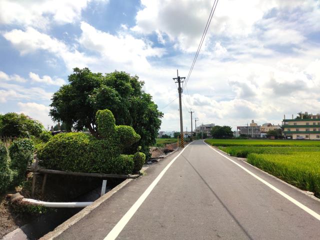 彰化埔鹽農地-9