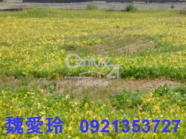 彰化農地-2