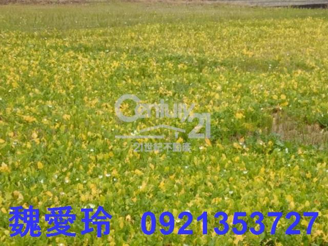 彰化農地-4