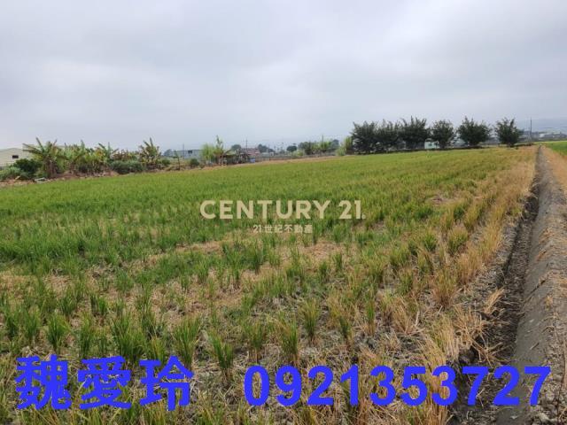 彰化芬園農地-0