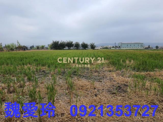 彰化芬園農地-1