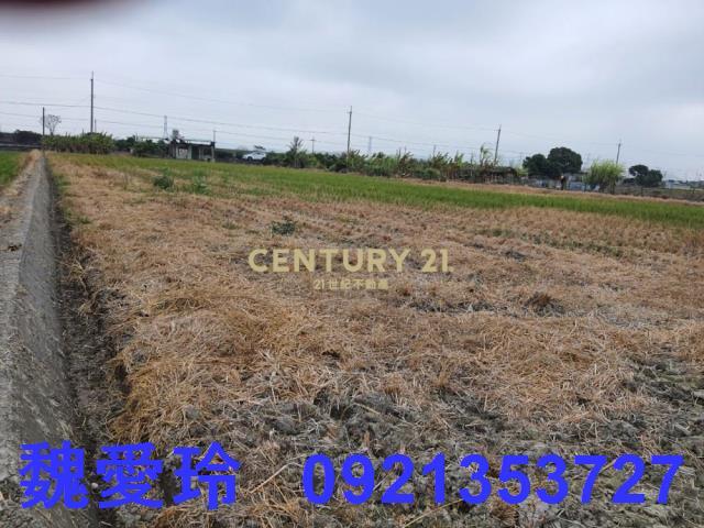彰化芬園農地-2