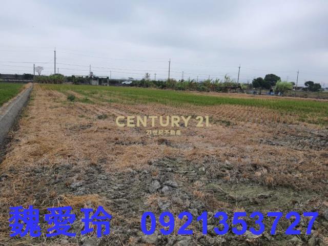 彰化芬園農地-3