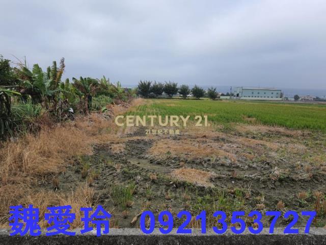 彰化芬園農地-4