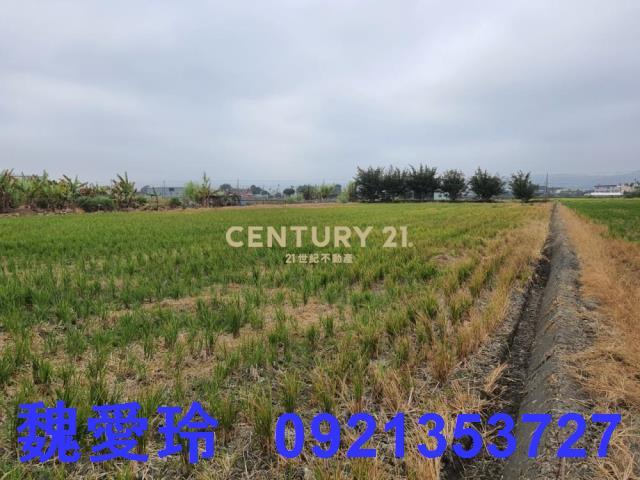 彰化芬園農地-5