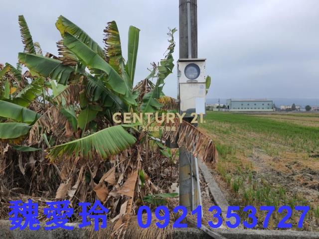 彰化芬園農地-7