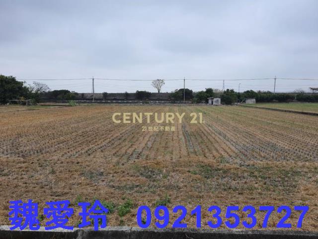 彰化芬園農地-8
