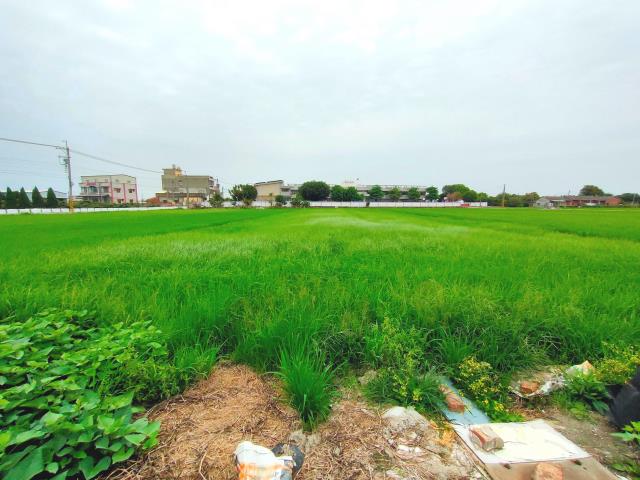 彰化埔鹽農地-2
