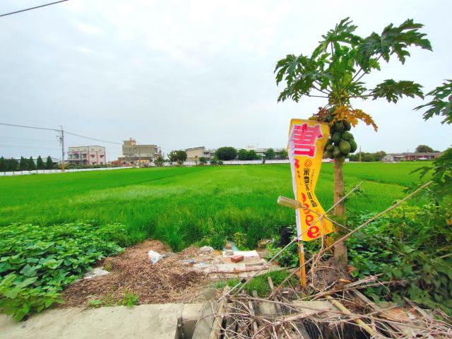 彰化埔鹽農地-0