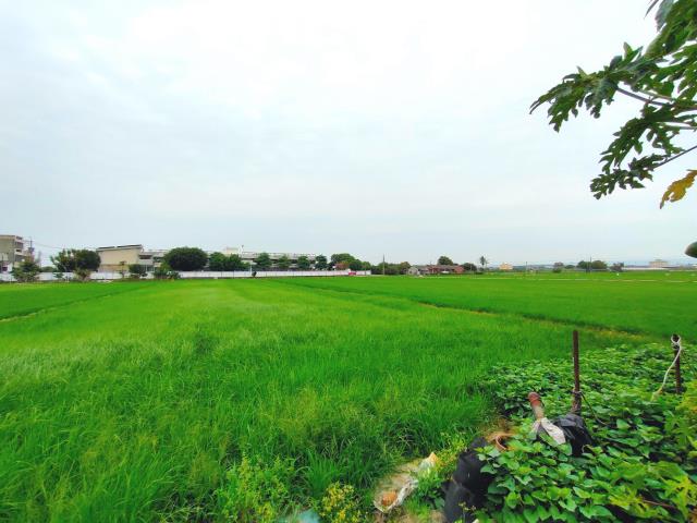 彰化埔鹽農地-3