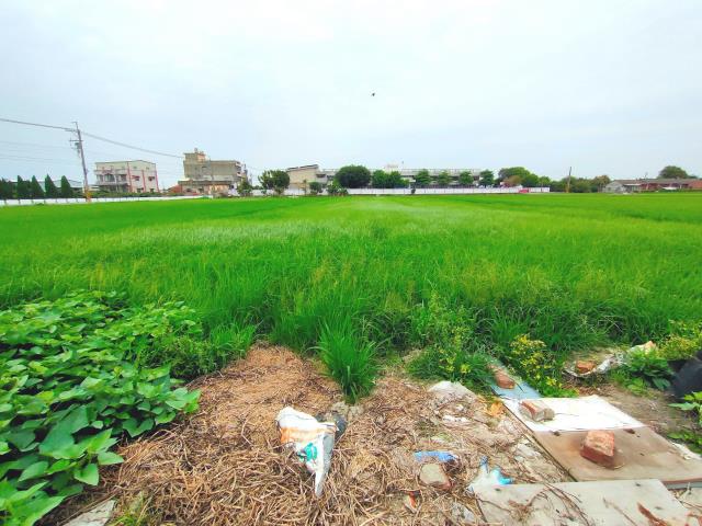 彰化埔鹽農地-4